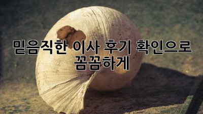 믿음직한 이사, 후기 확인으로 꼼꼼하게! 🏡